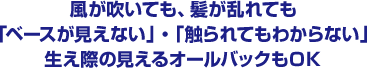 風が吹いても、髪が乱れても「ベースが見えない」・「触られてもわからない」生え際の見えるオールバックもOK